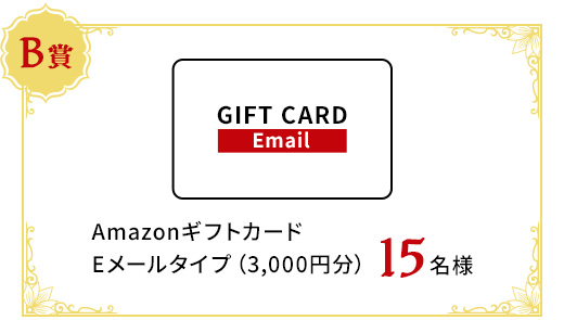 Amazonギフトカード Eメールタイプ（3,000円分）　15名様